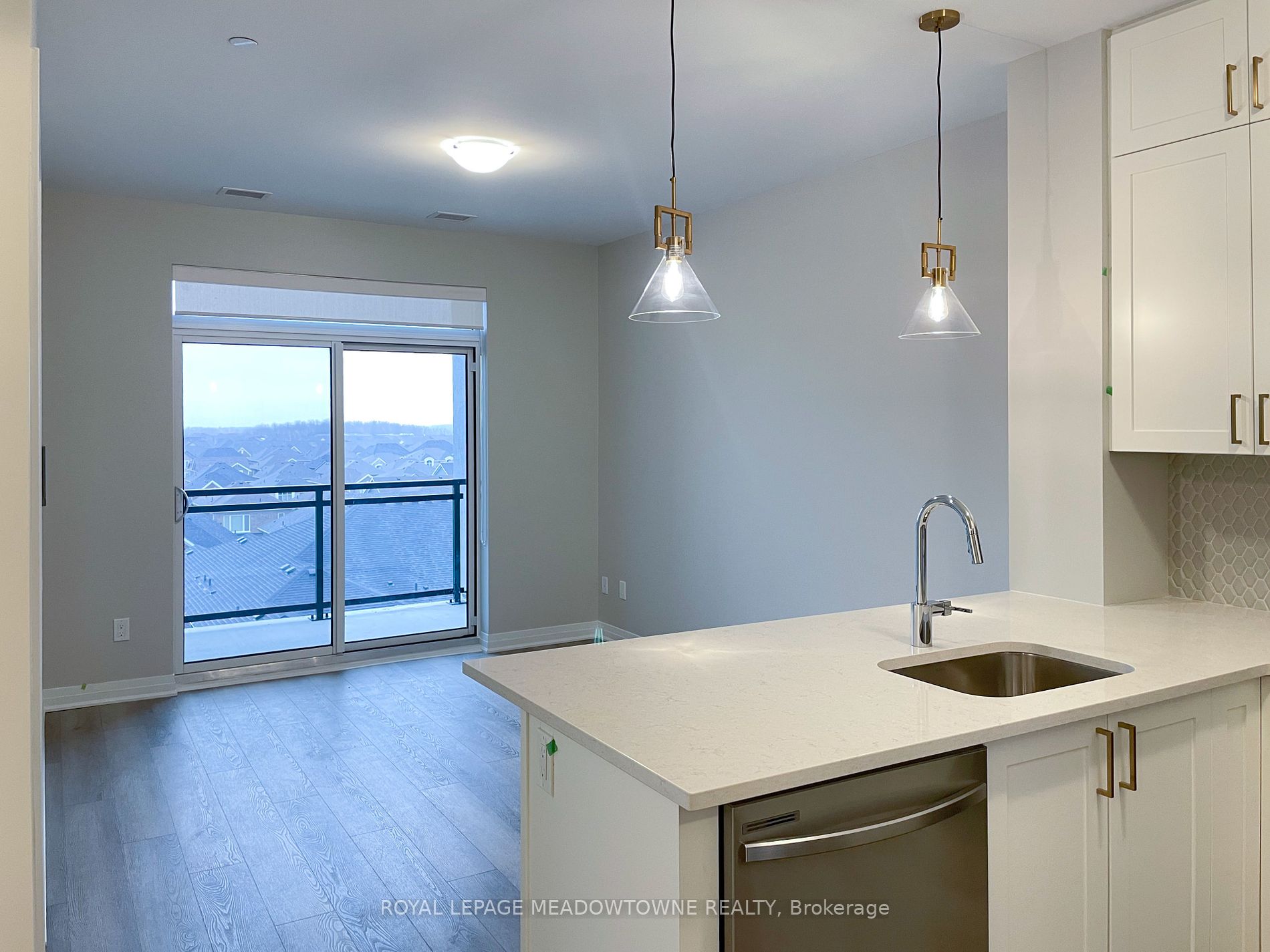 470 Gordon Krantz Ave, #517