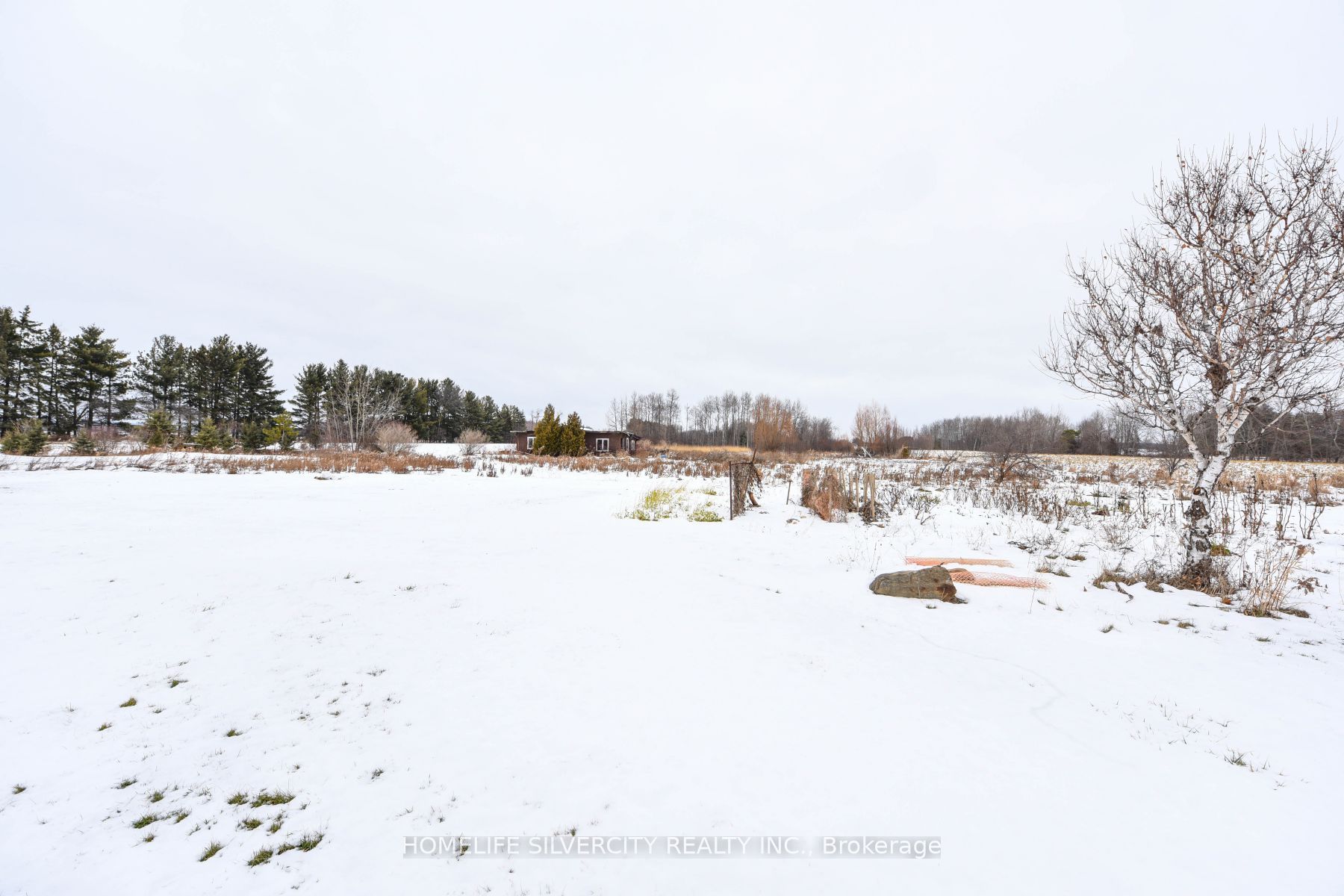14707 Dixie Rd