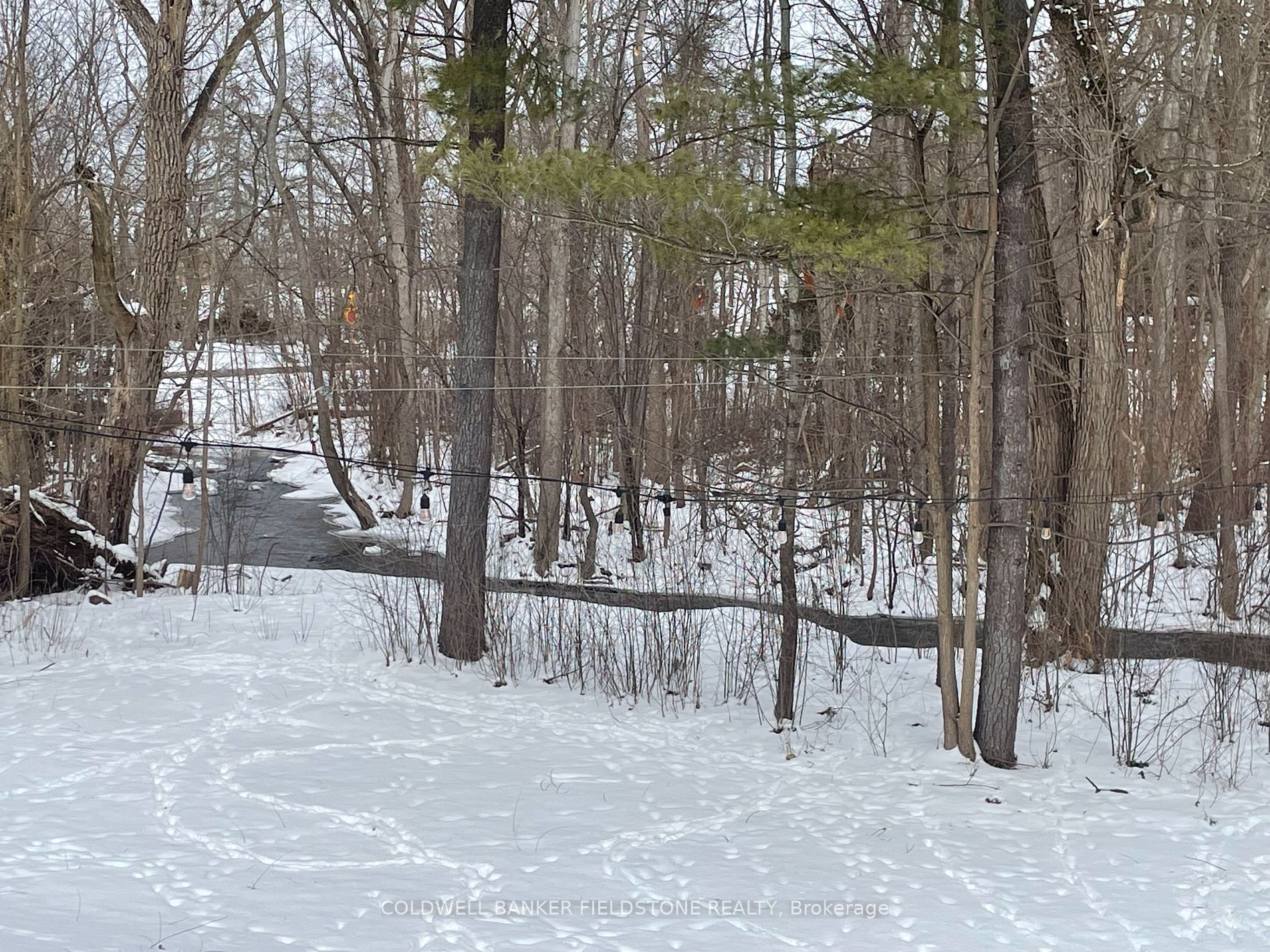13716 22nd Side Road