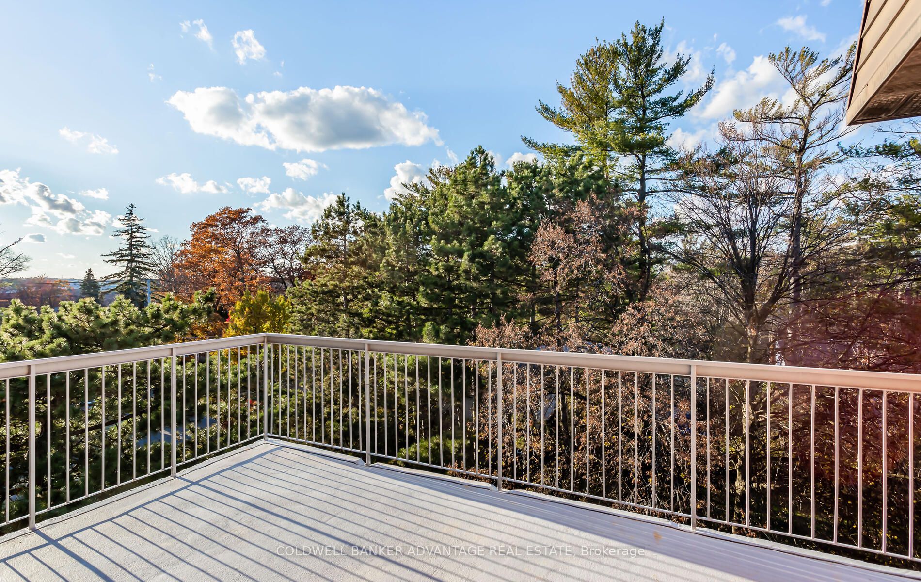 3025 The Credit Woodlands Drive, #355