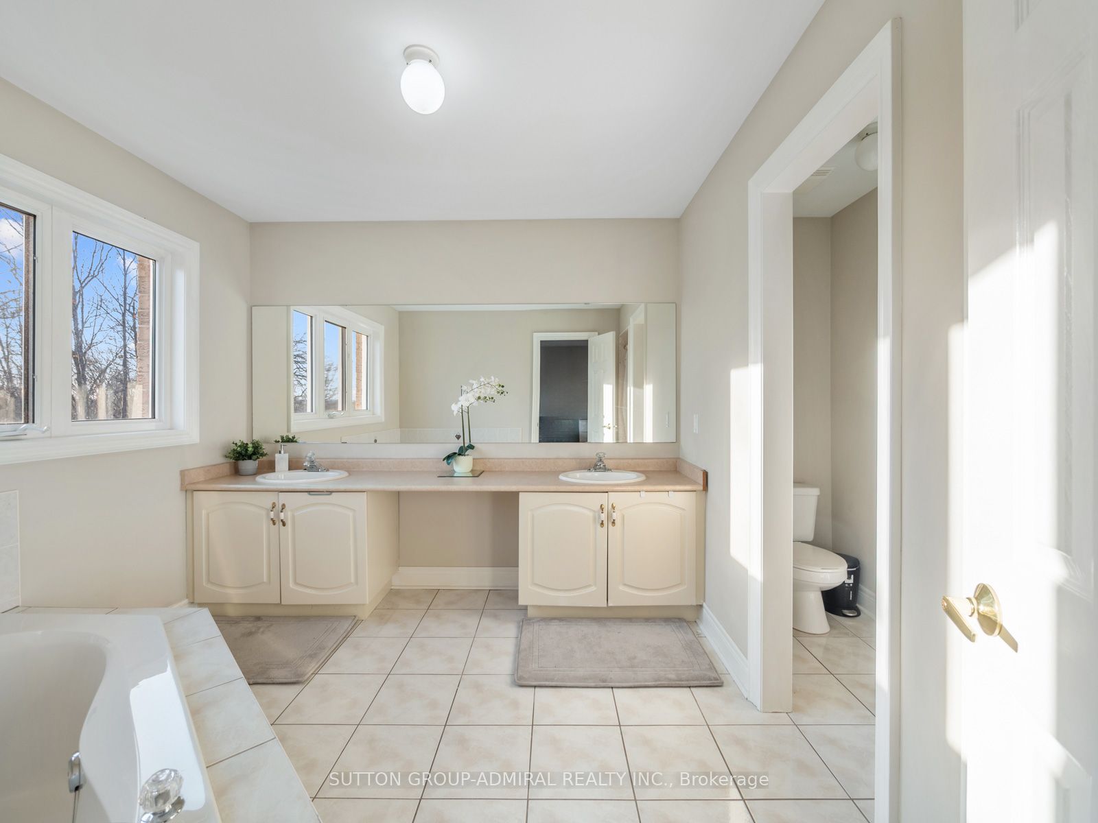 1065 Knotty Pine Grve