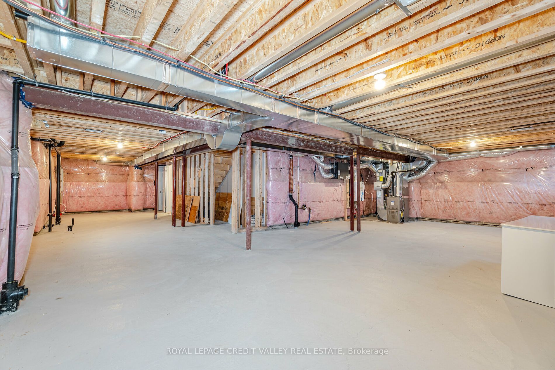 10 Abelia St, #6
