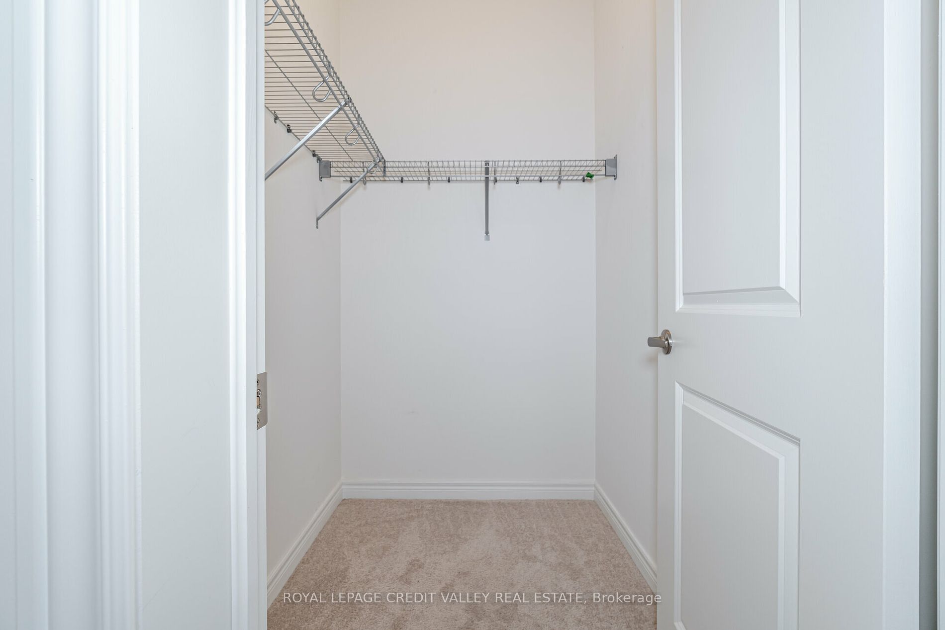 10 Abelia St, #6