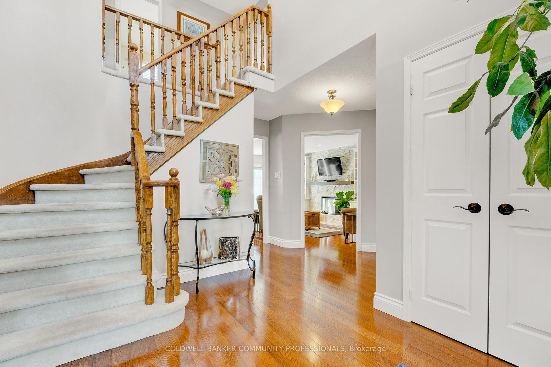 41 Christie Drive