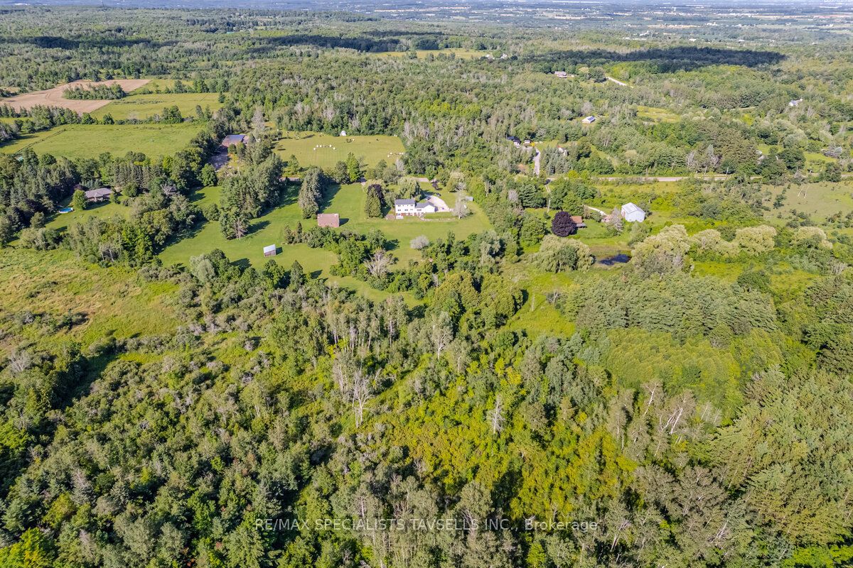 15558 Shaws Creek Rd