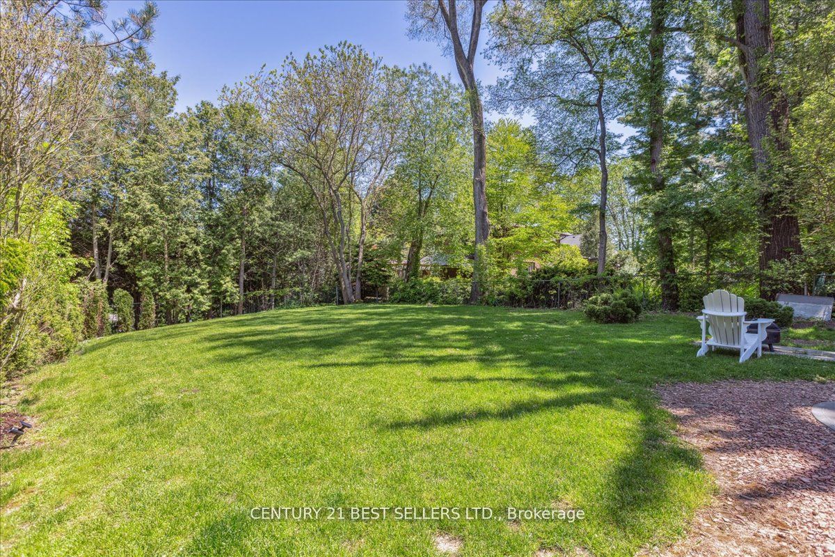 41 Cudmore Road