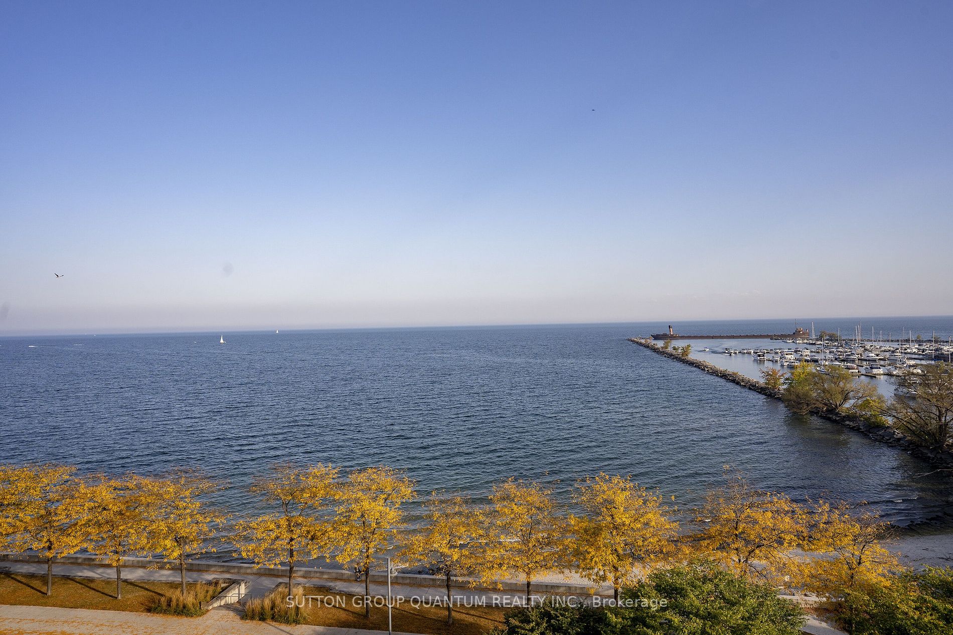 55 Port Street E, #602