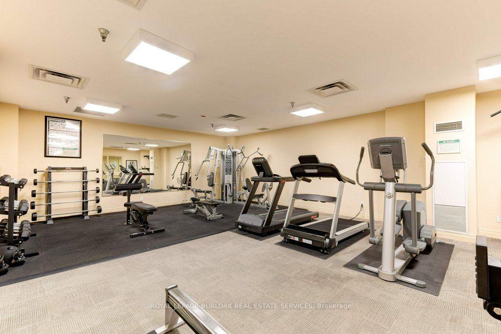 399 Elizabeth St, #506