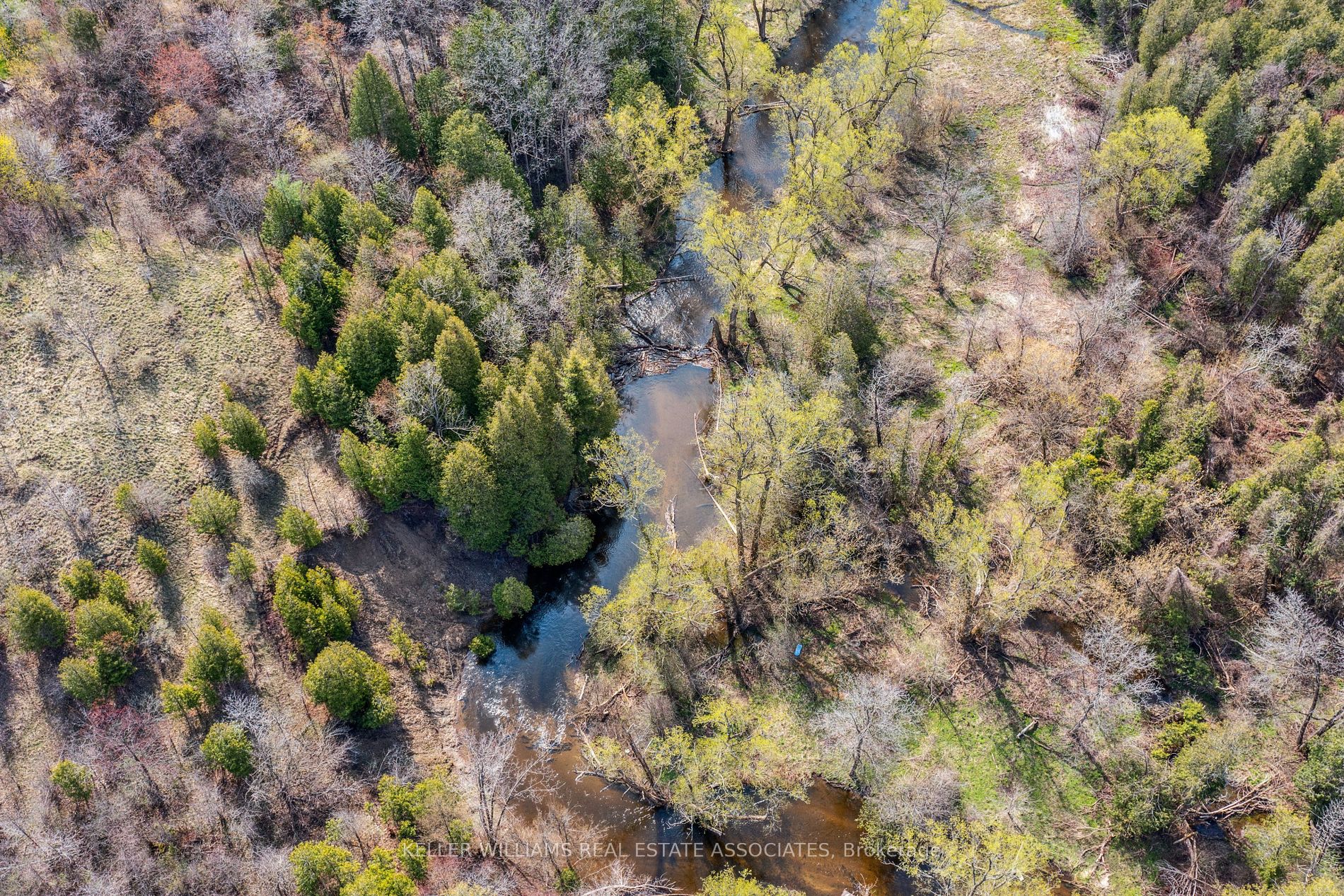142 Rexway Drive