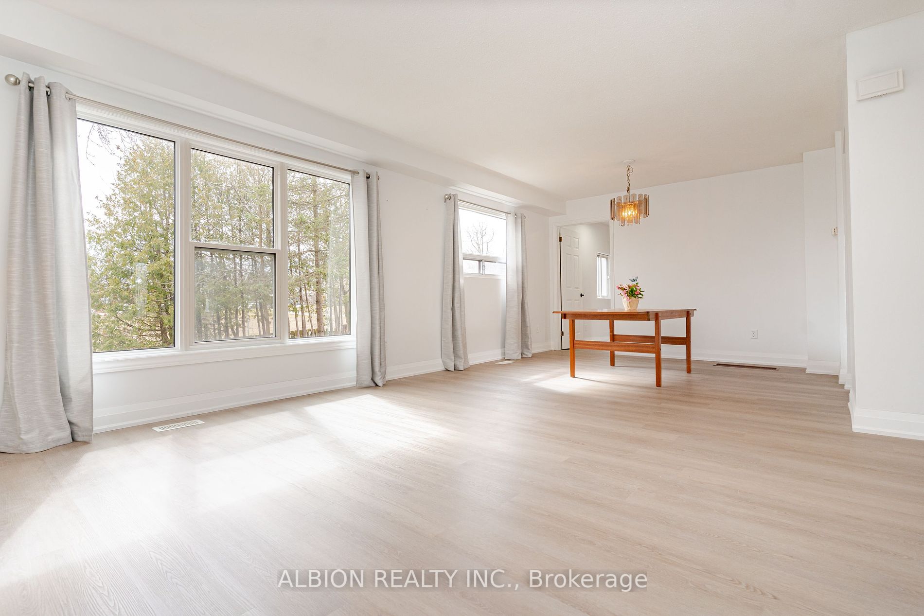 56 Downey Dr