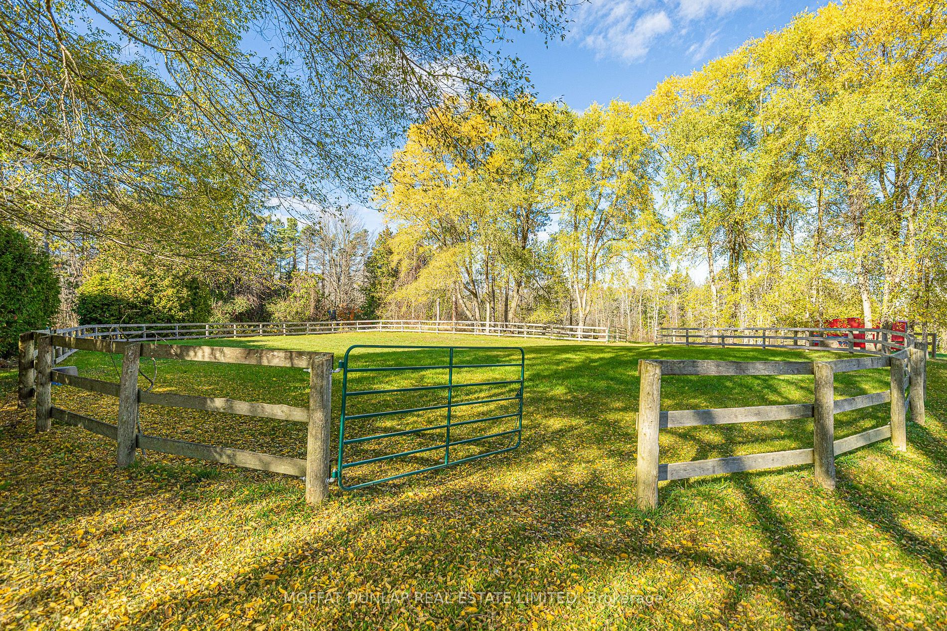 7699 Patterson Sideroad