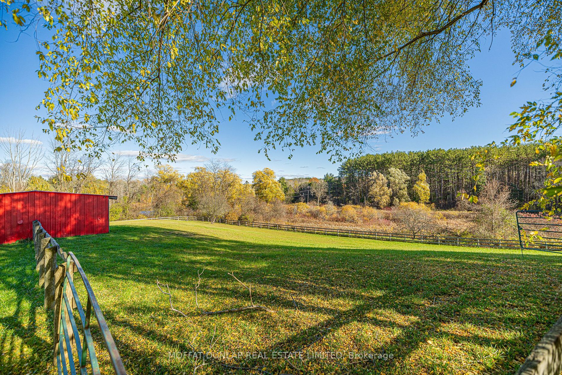 7699 Patterson Sideroad