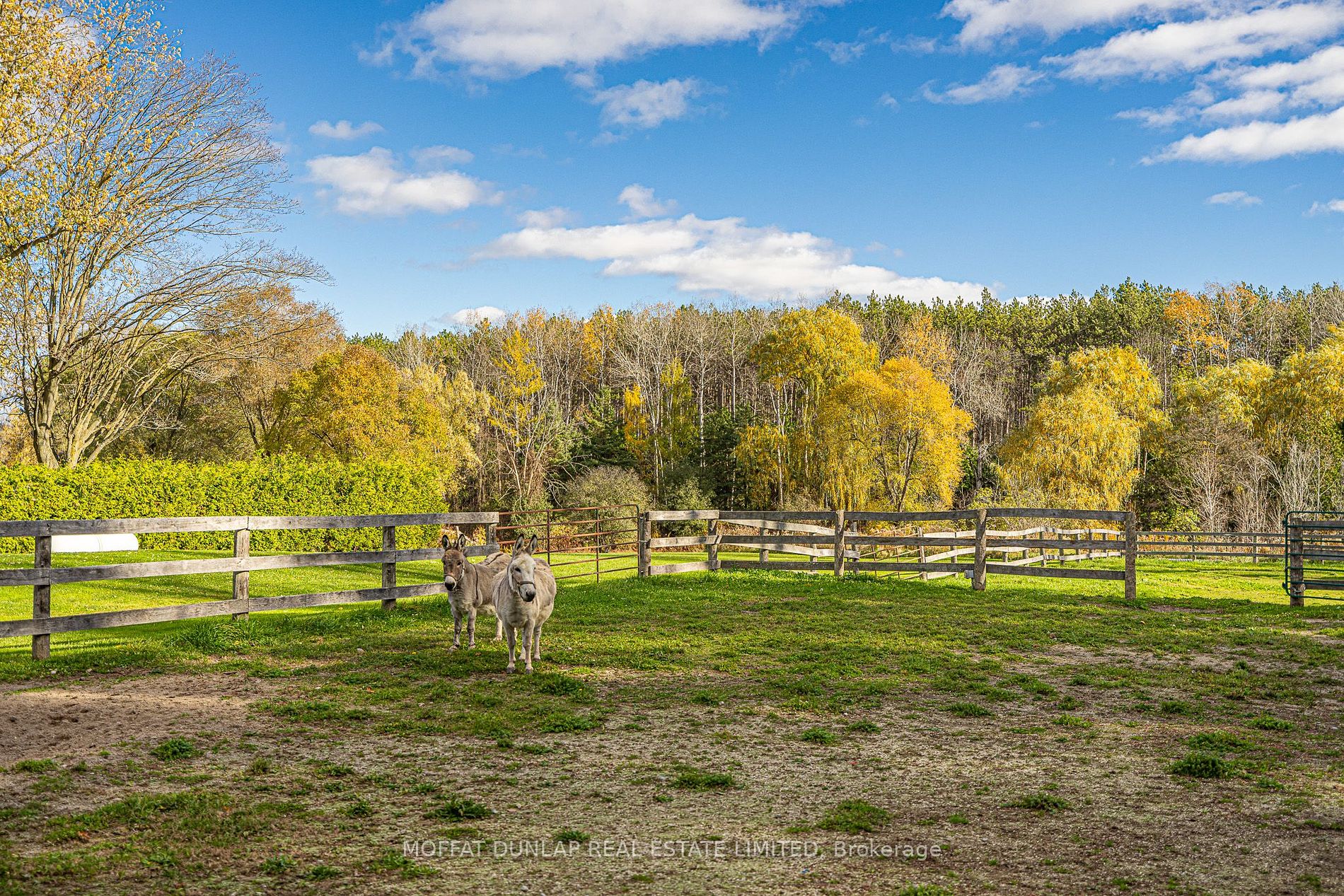 7699 Patterson Sideroad
