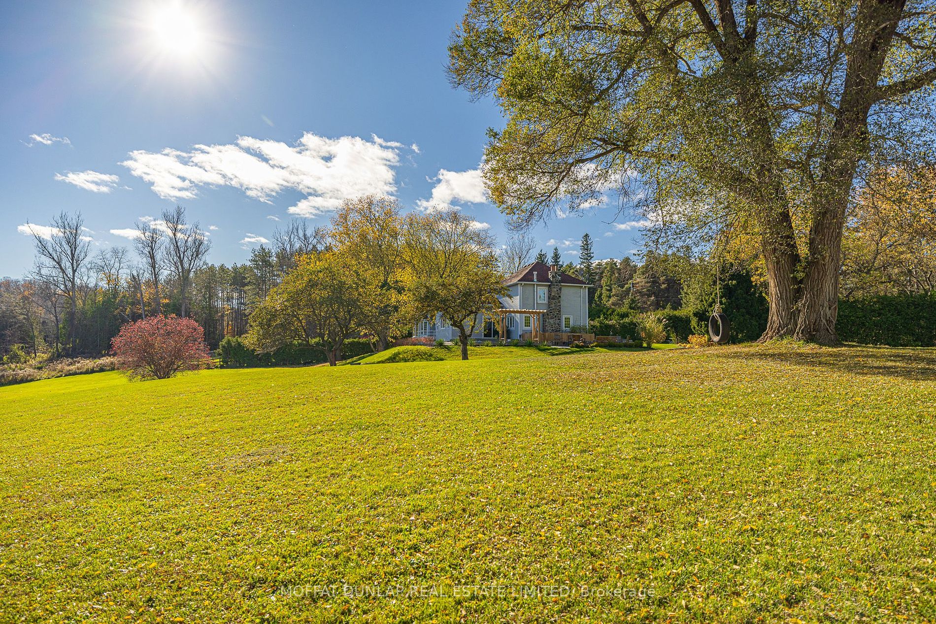 7699 Patterson Sideroad
