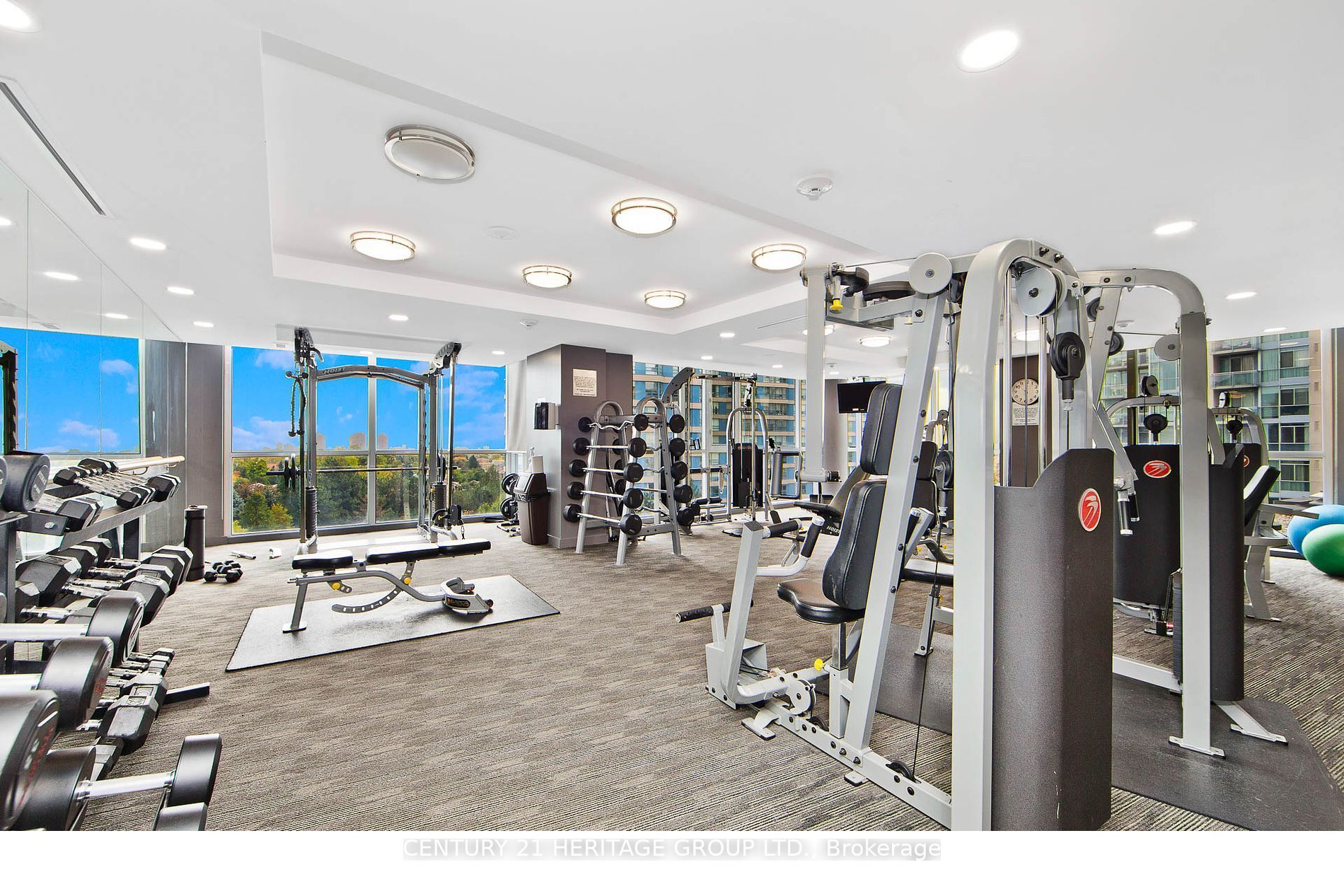 223 Webb Dr, #503