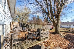 17 Shirley St