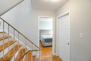 17 Shirley St