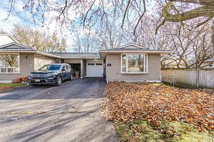 17 Shirley St