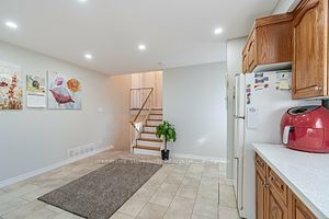 17 Shirley St