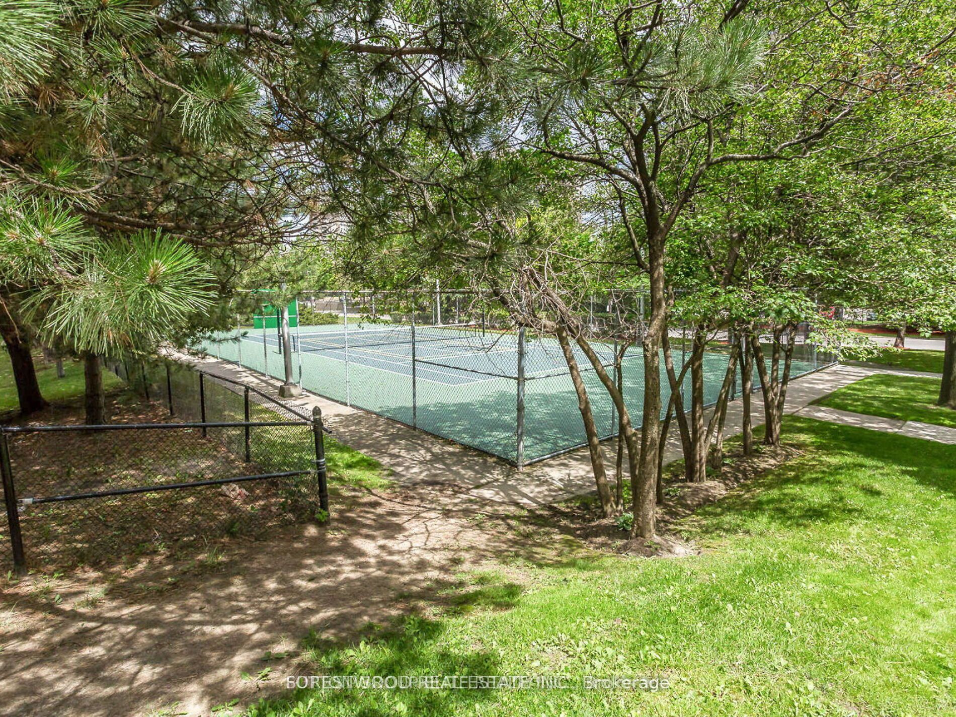 50 Elm Drive E, #310