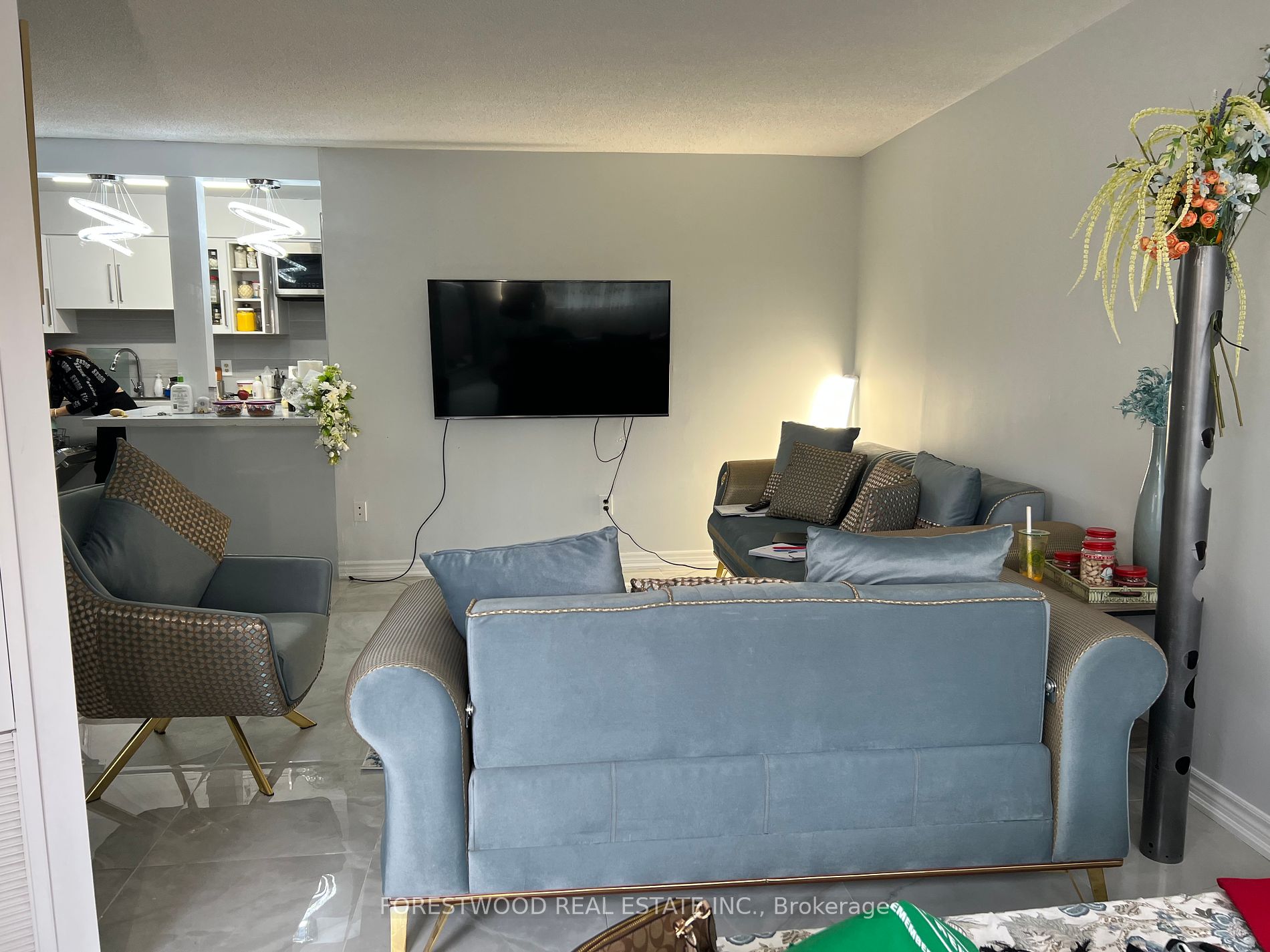 50 Elm Drive E, #310