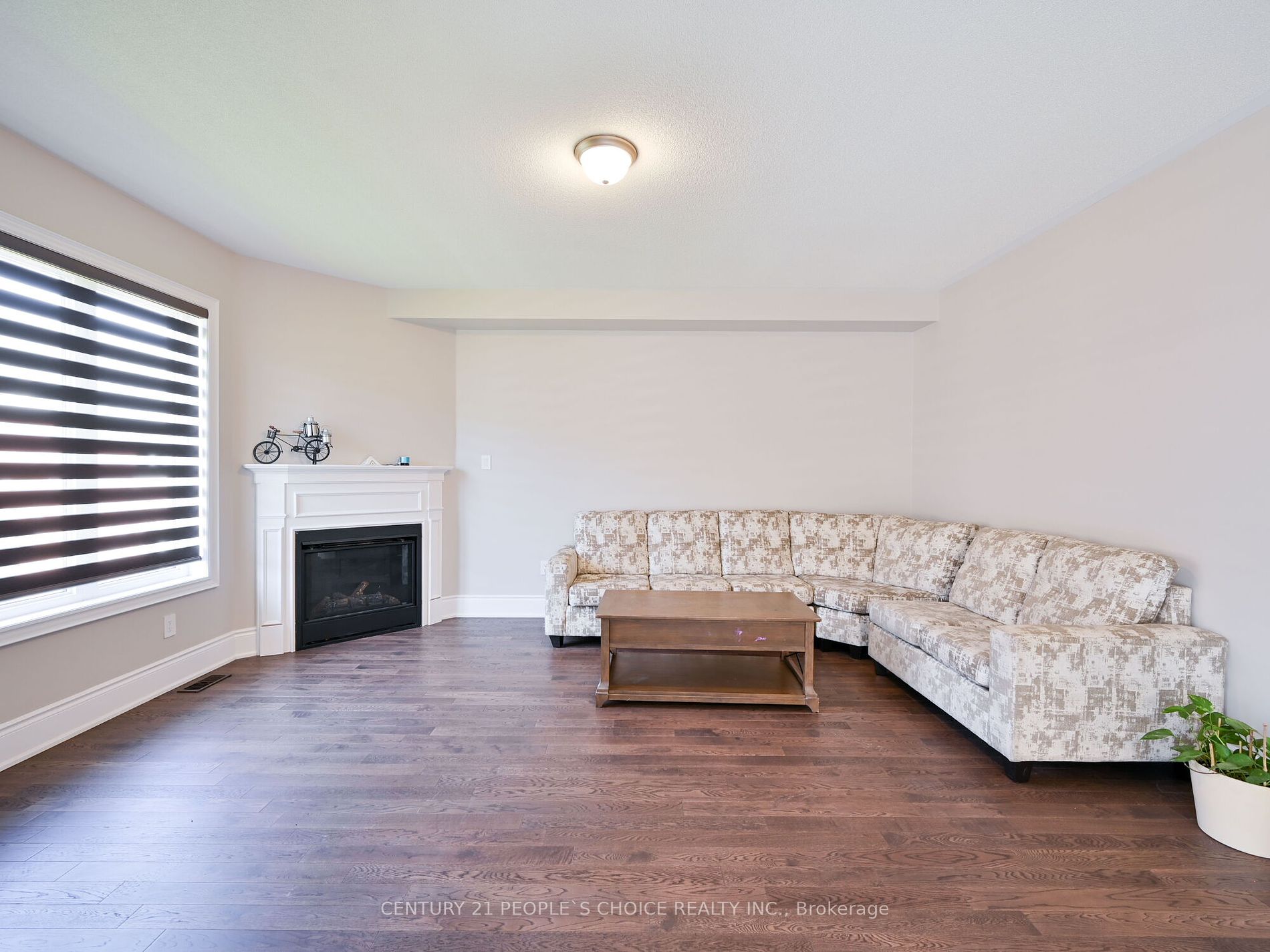 12 Junior Rd