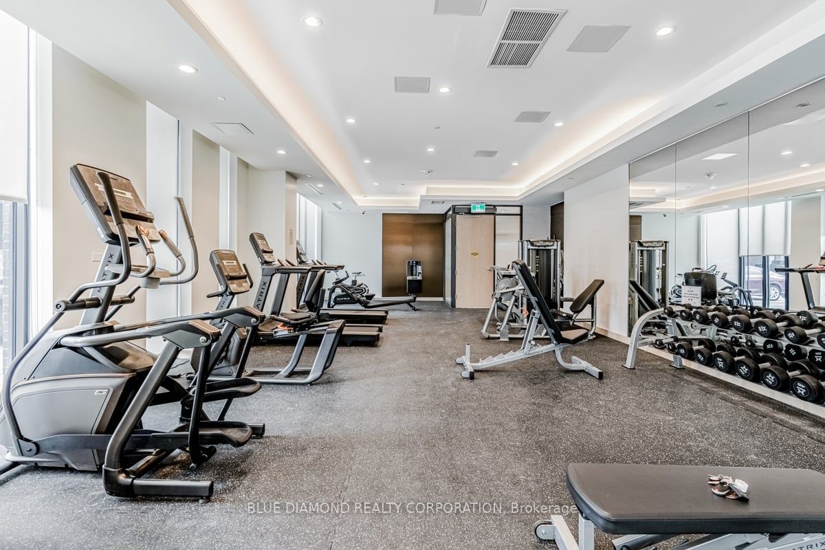 225 VETERANS Dr, #704