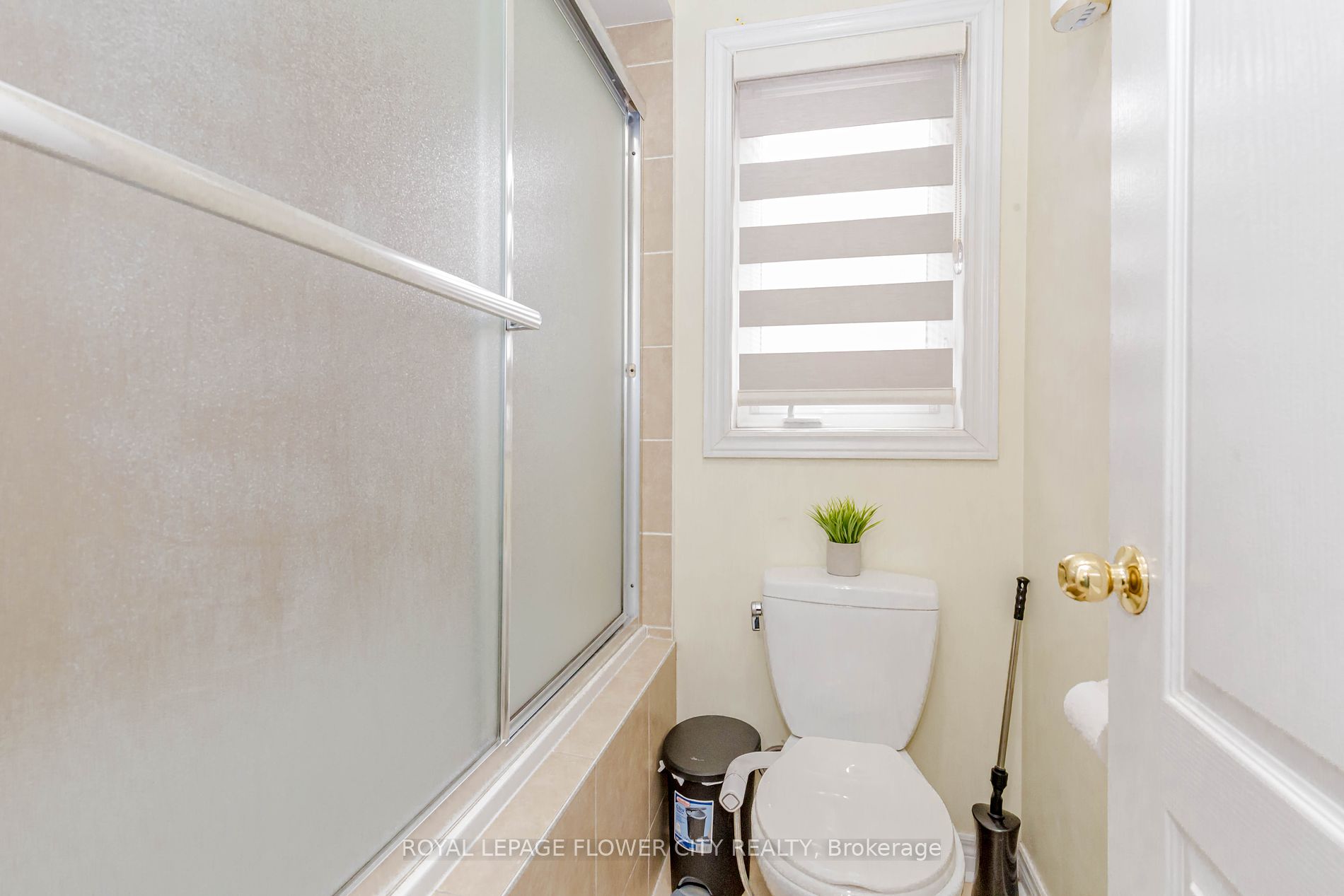 548 Fernforest Dr
