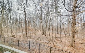 3492 Widdicombe Way, ##2