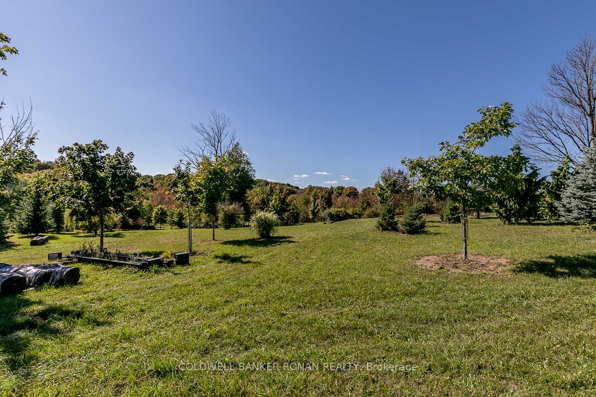 17218 Innis Lake Rd