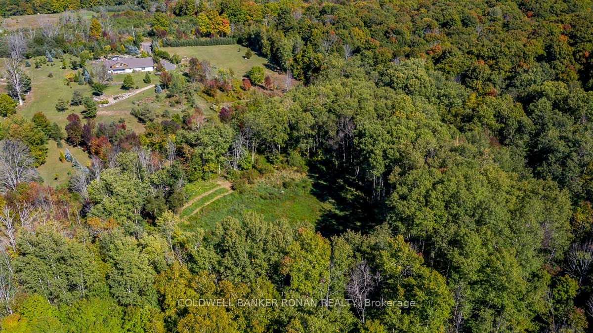 17218 Innis Lake Rd