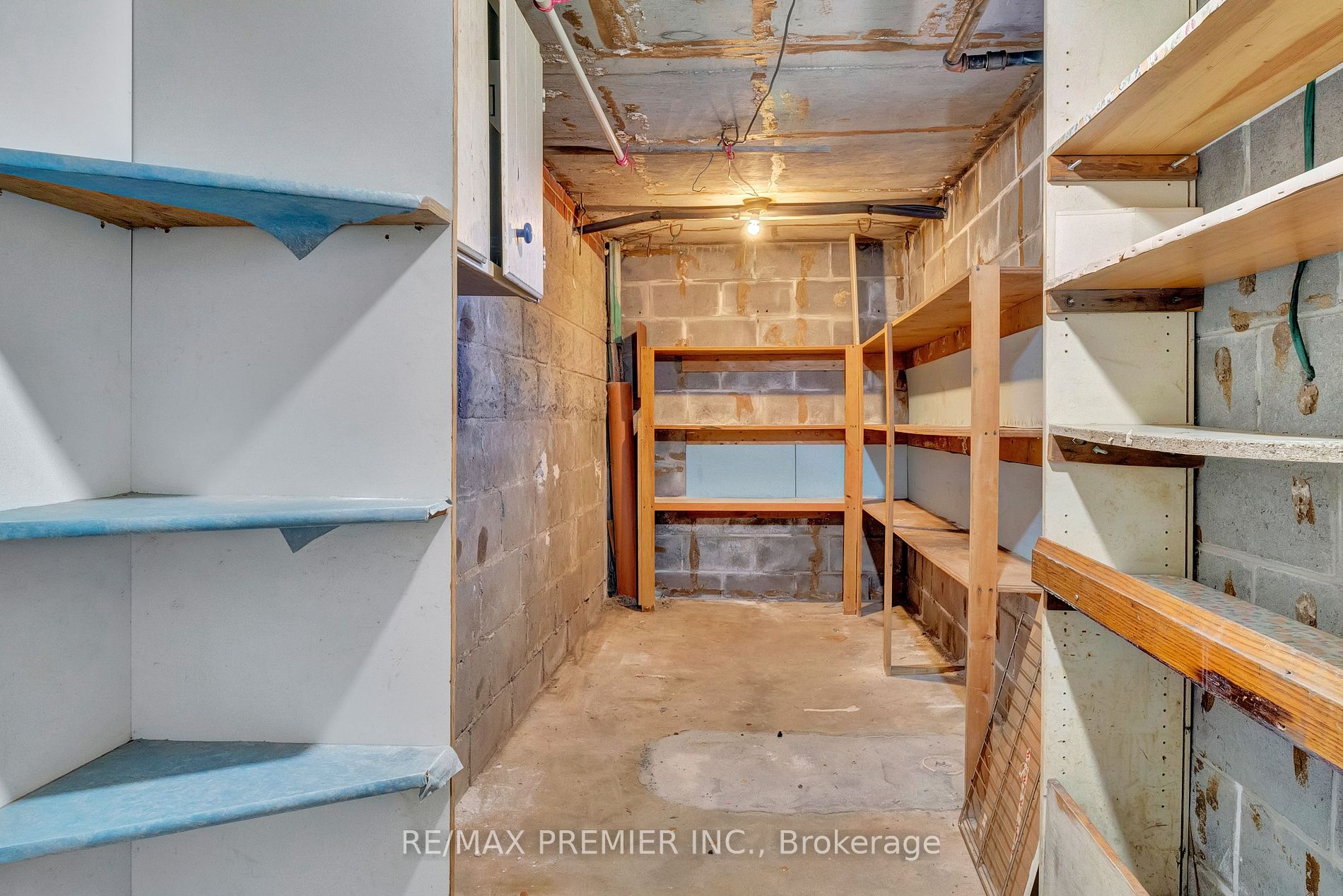 125 Foxwell St