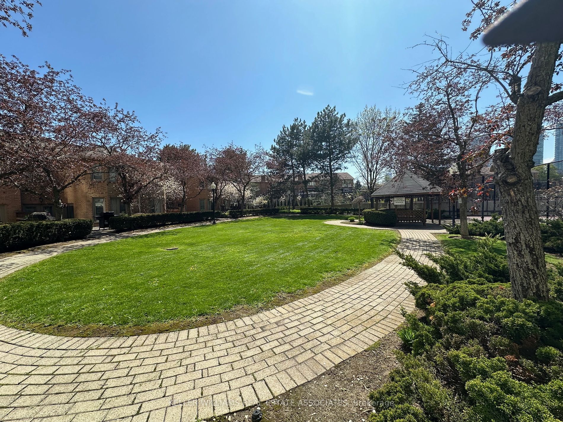 55 Elm Drive W #501