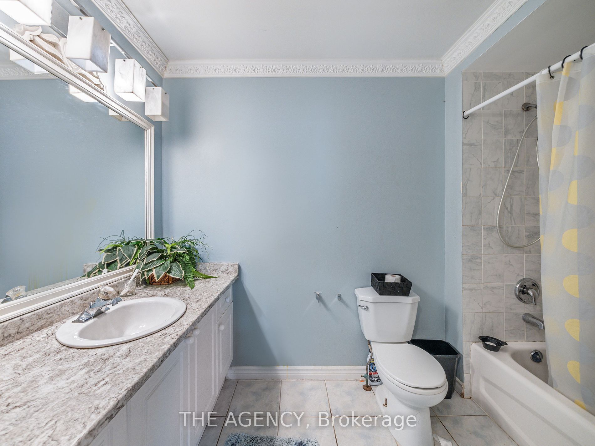 44 Kershaw St
