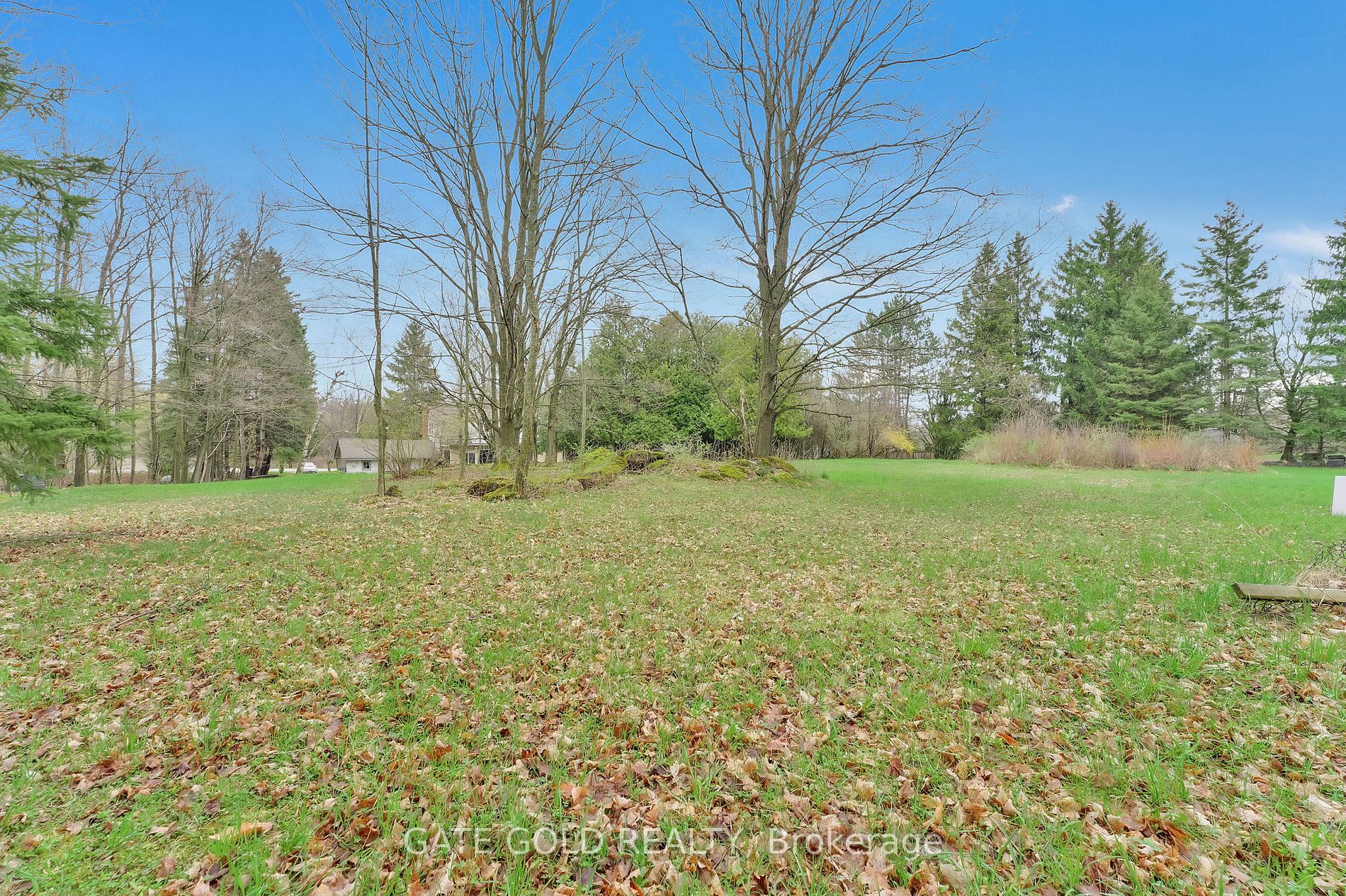 15790 Mississauga Road