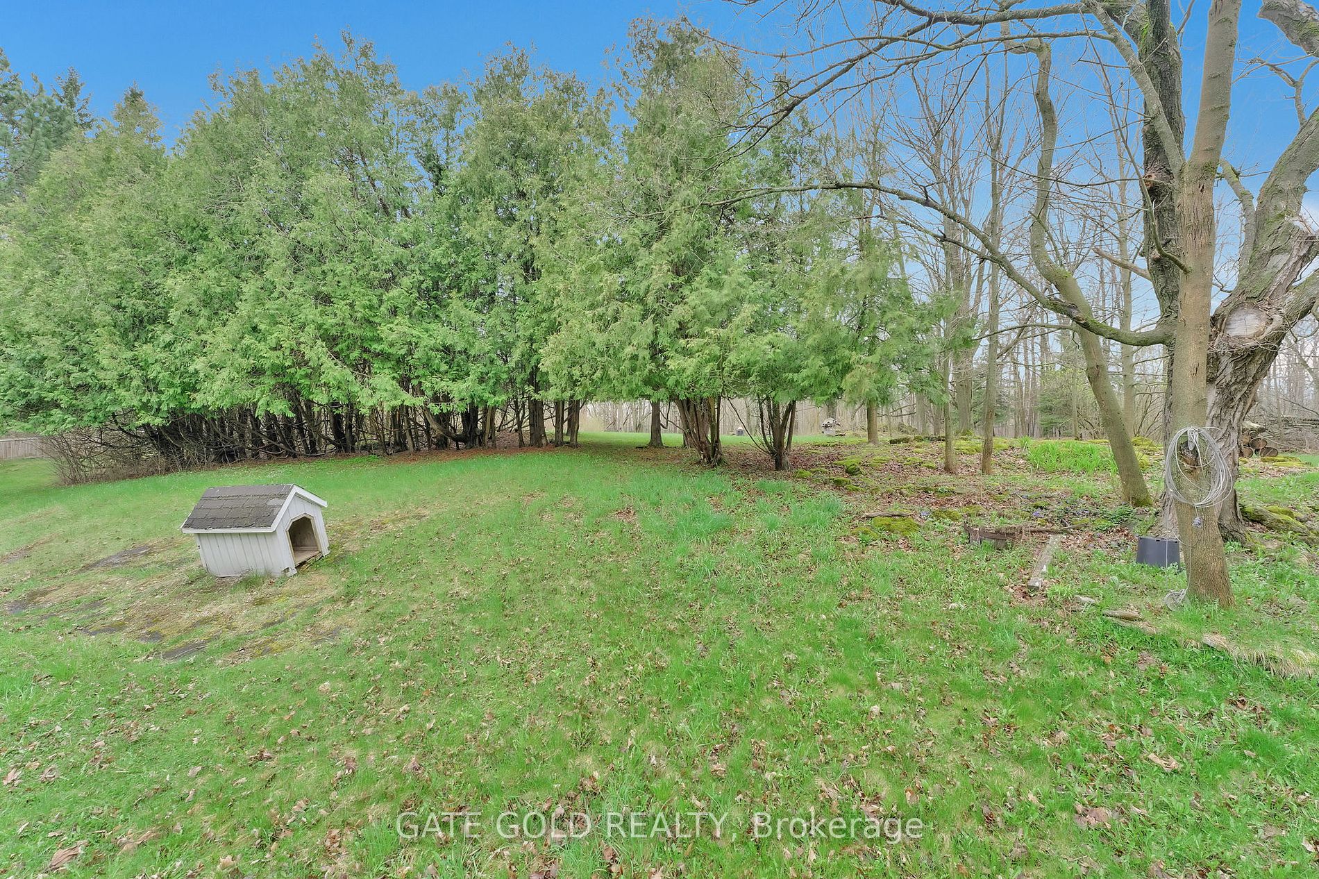 15790 Mississauga Road