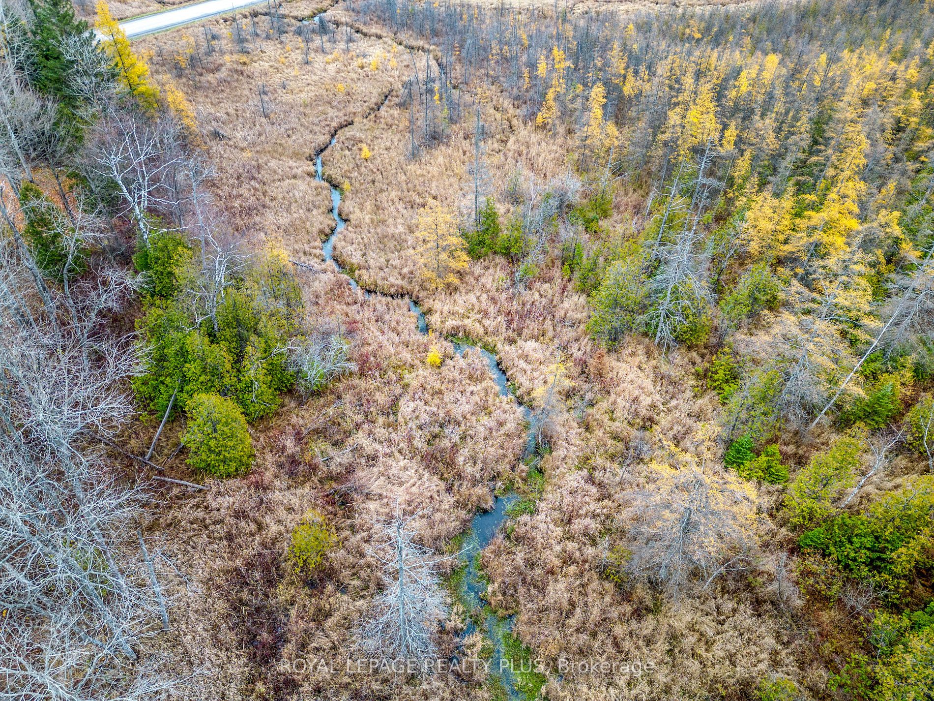21346 Shaws Creek Rd