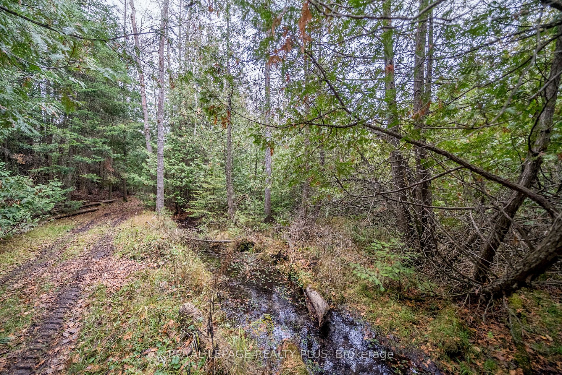 21346 Shaws Creek Rd