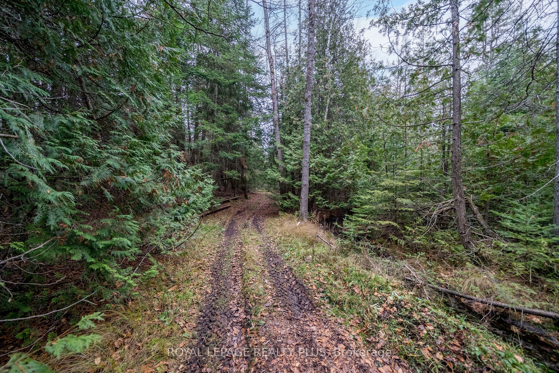 21346 Shaws Creek Rd