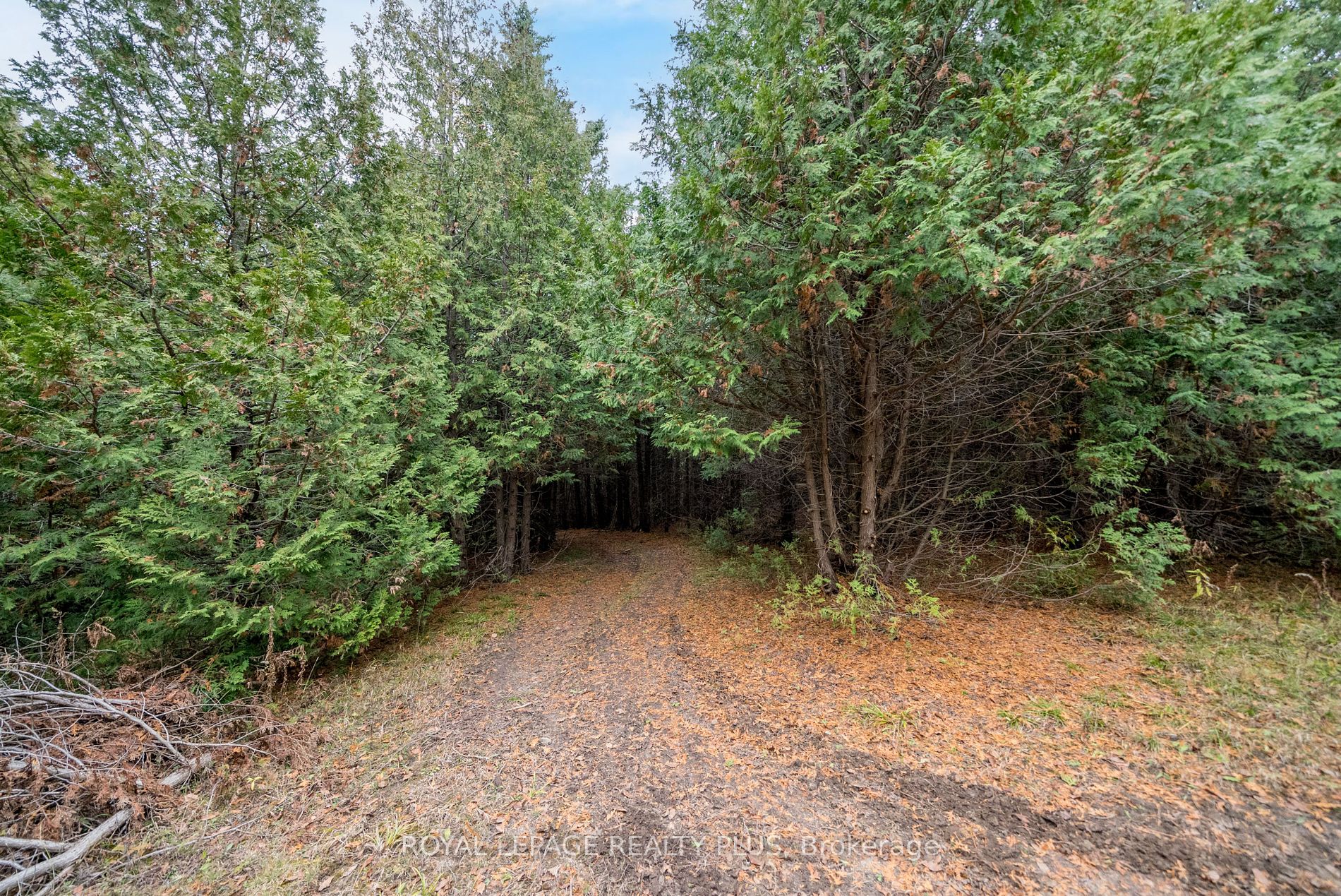 21346 Shaws Creek Rd