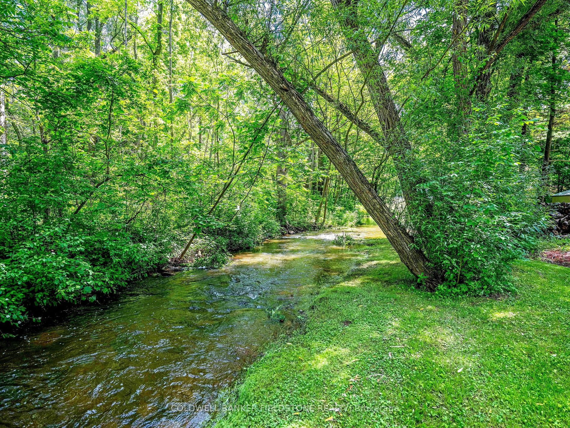 13716 22nd Side Road