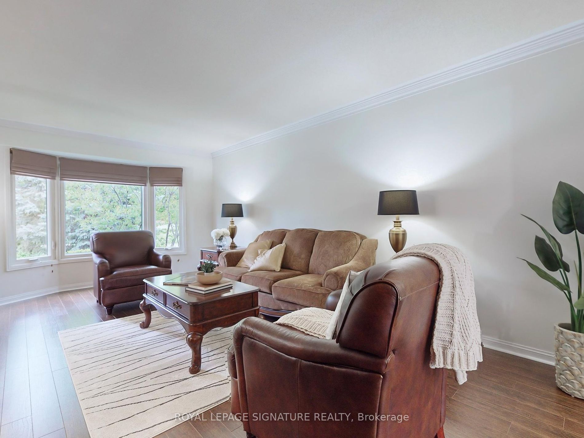 50 Curtis Dr