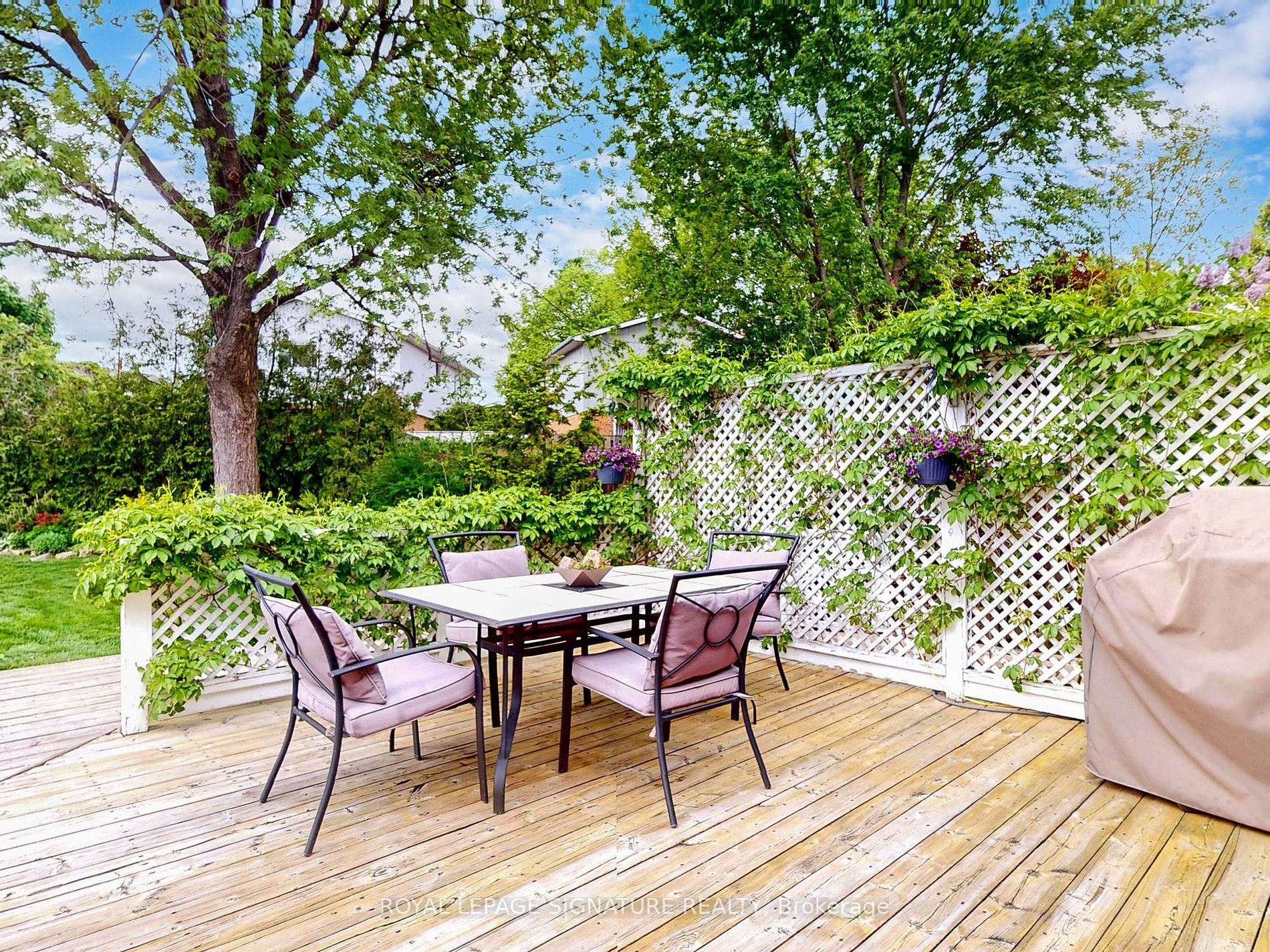 50 Curtis Dr