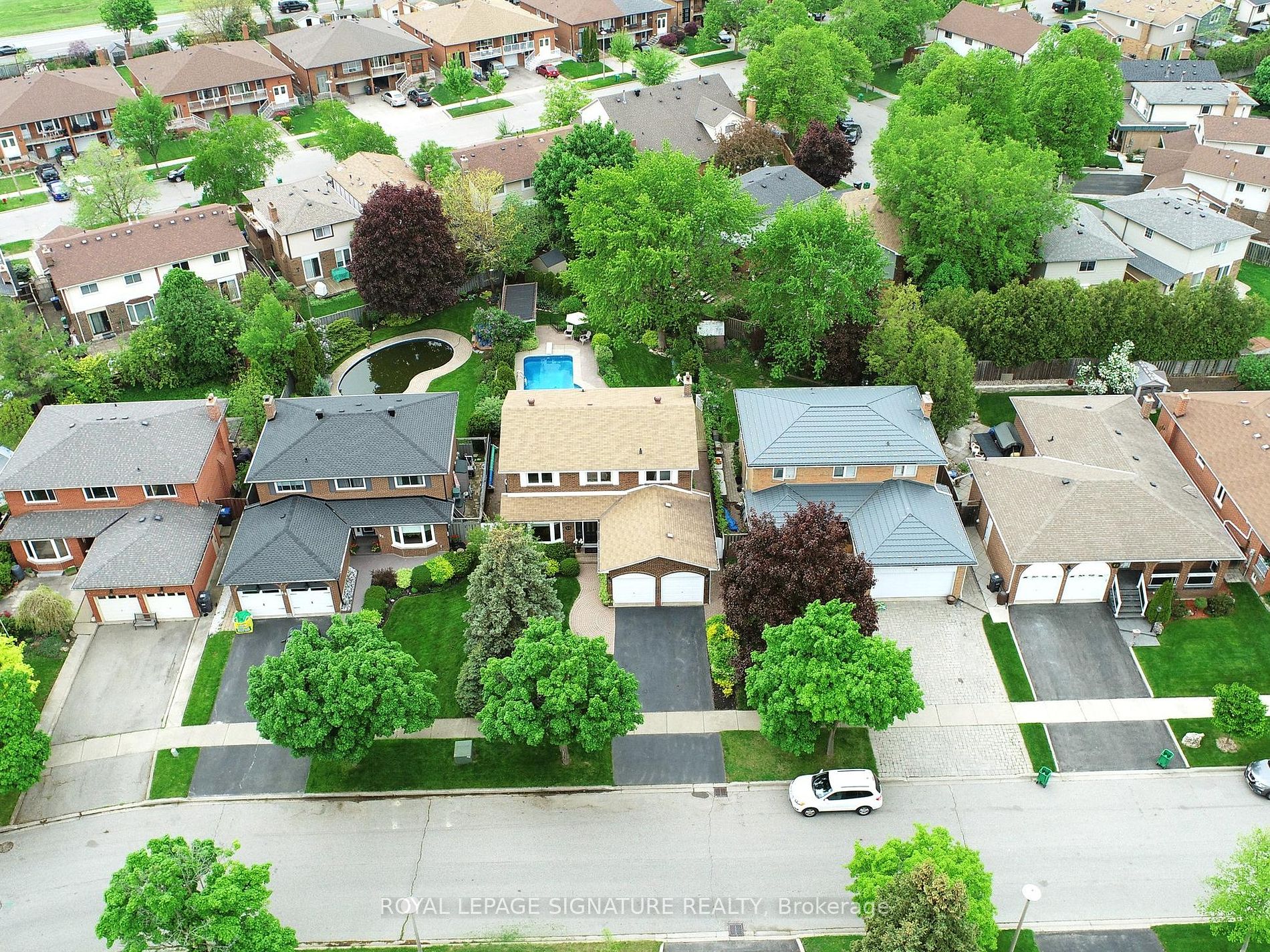 50 Curtis Dr
