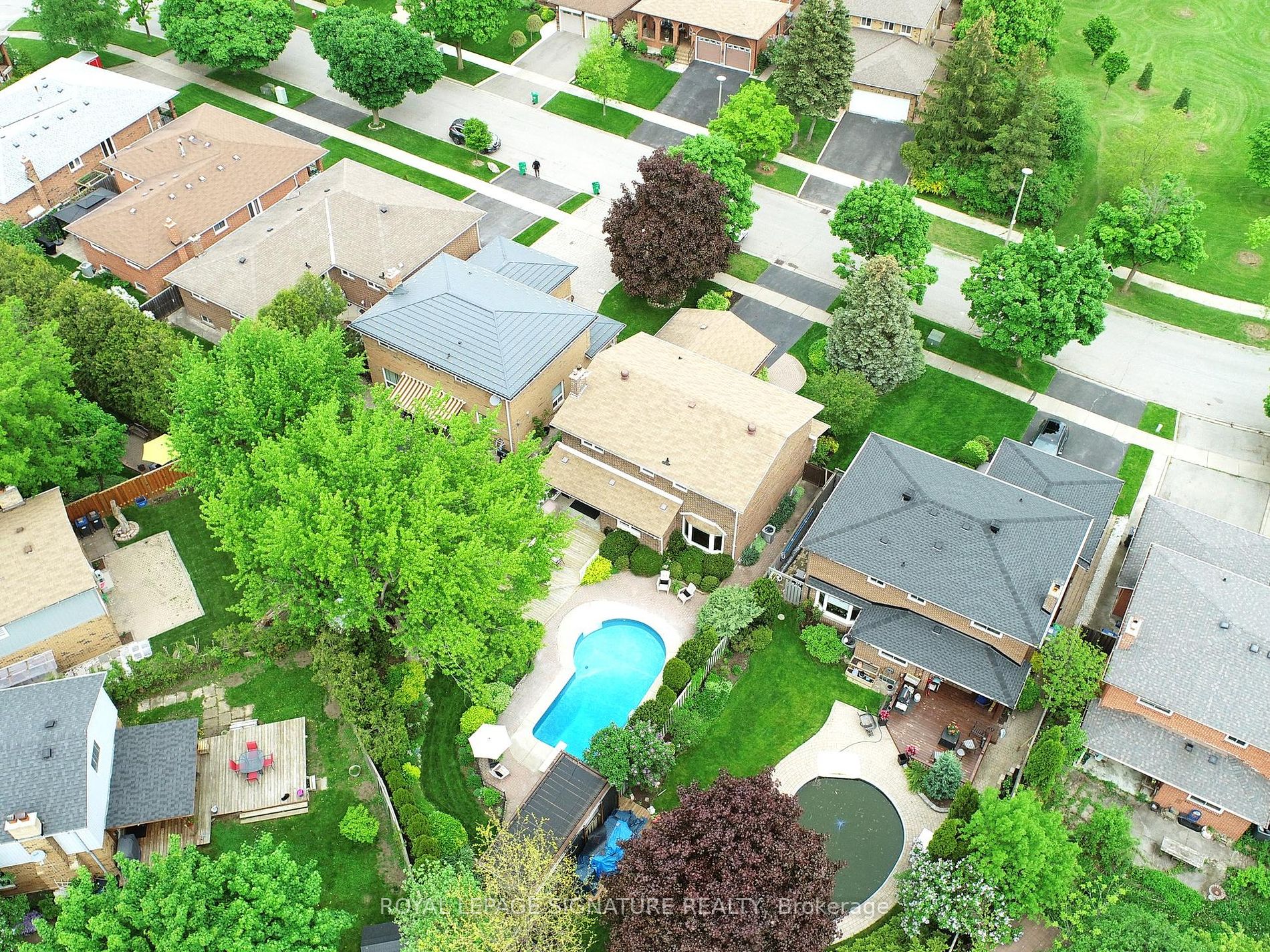 50 Curtis Dr
