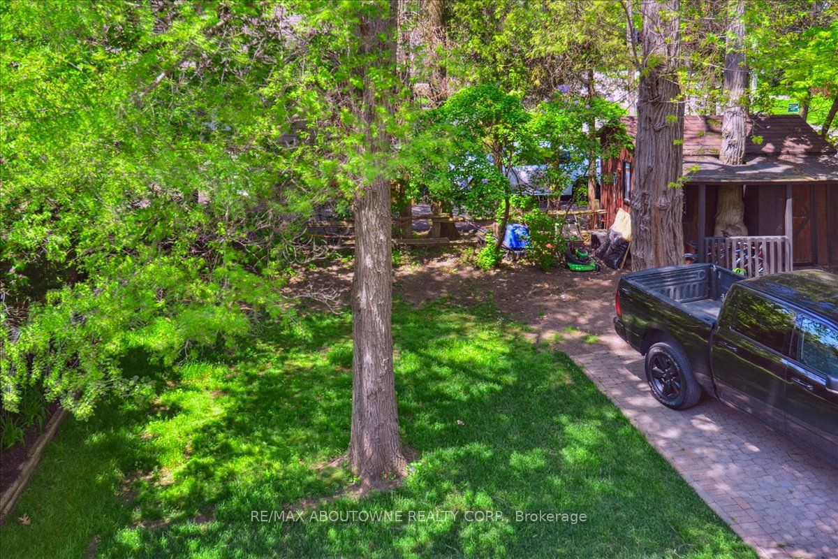 65 Mineola Road E