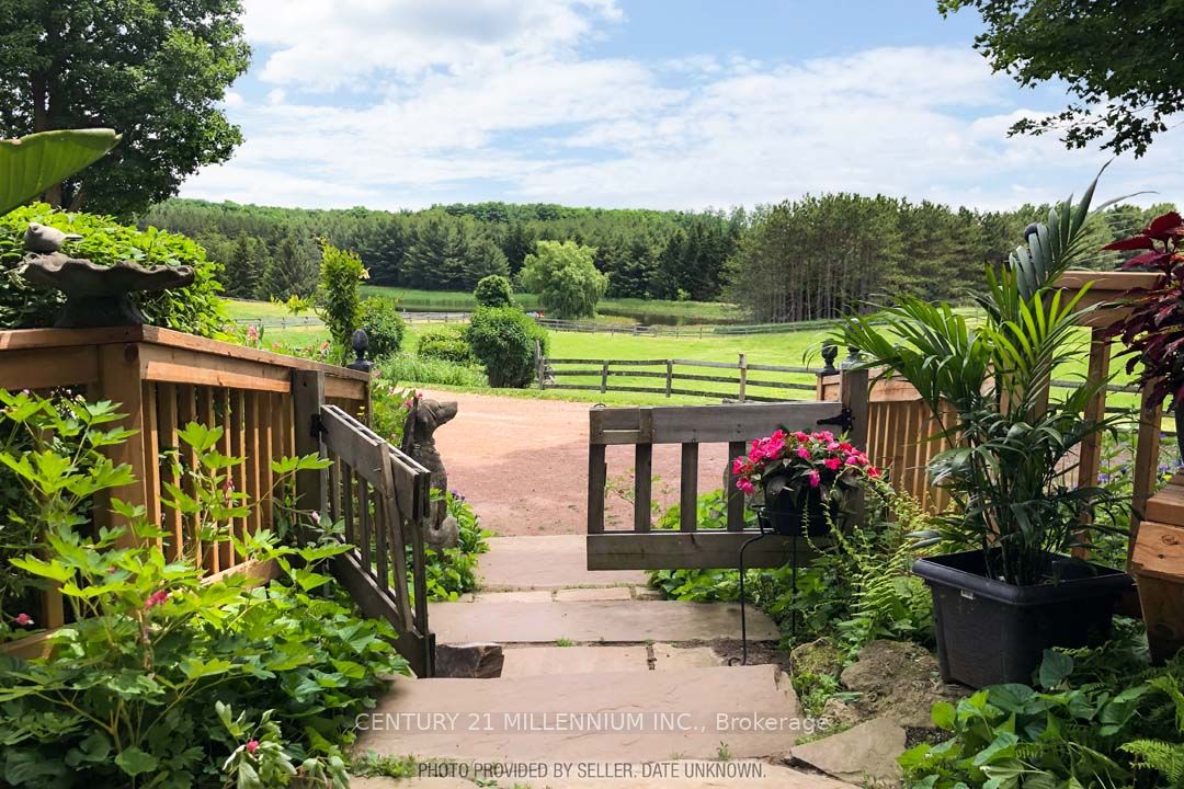 18101 Shaws Creek Road
