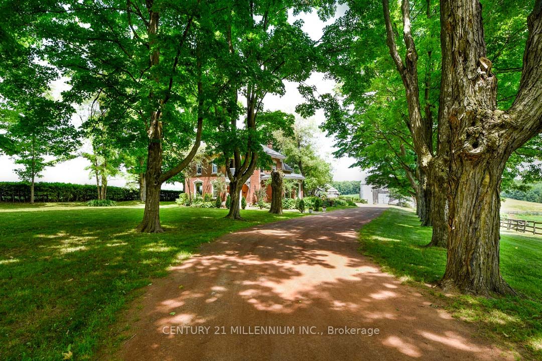 18101 Shaws Creek Road