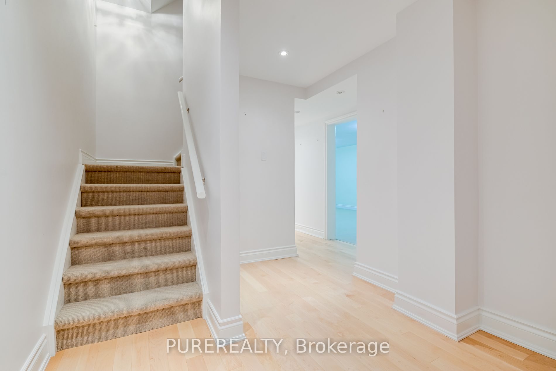551 Kastelic Place