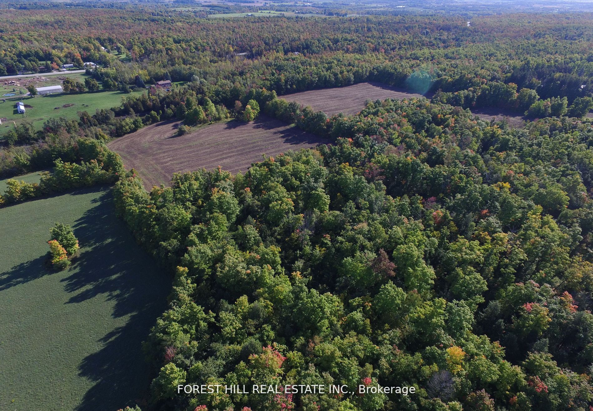 7406 17 Side Rd